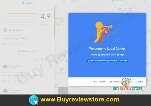 Google Places 5 Star Reviews Proof 00