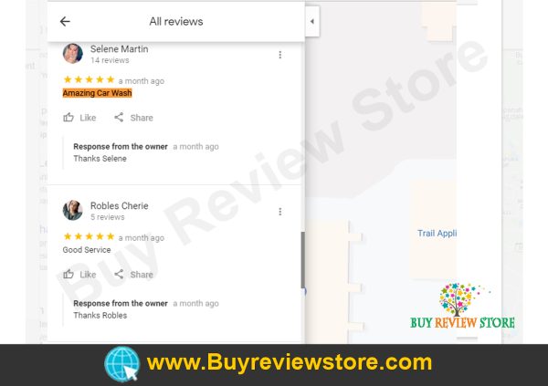 Google Places 5 Star Reviews Proof 2