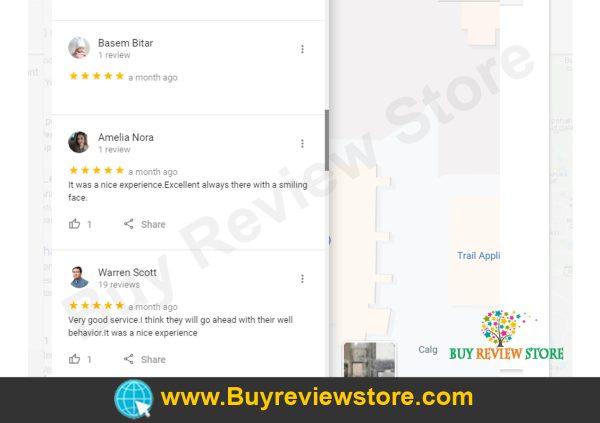 Google Places 5 Star Reviews Proof 3