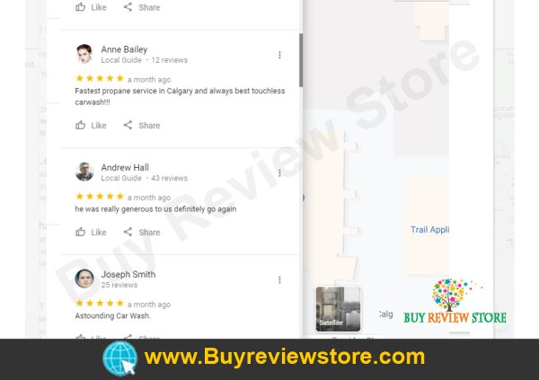 Google Places 5 Star Reviews Proof 4