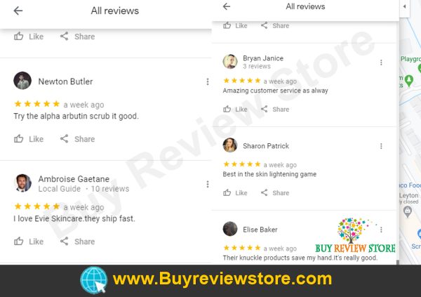 Google Places 5 Star Reviews Proof 5