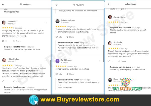 Google Places 5 Star Reviews Proof 8