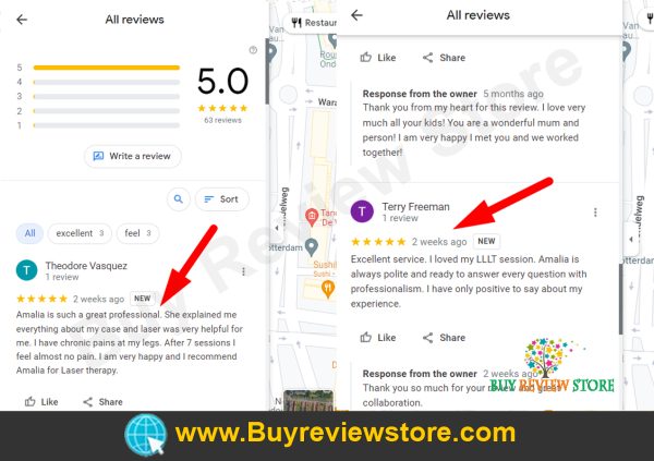 Google Business 5 Star Reviews Proof 5