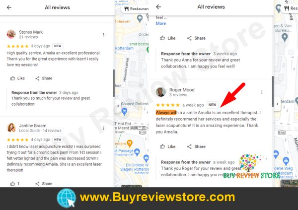Google Business 5 Star Reviews Proof 6